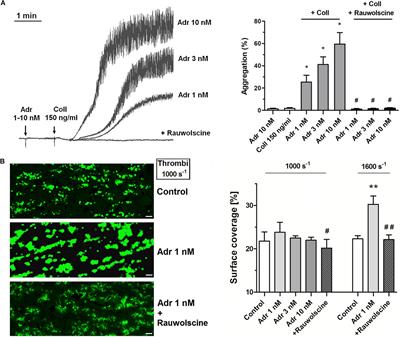 Adrenaline May Contribute to Prothrombotic Condition via Augmentation of Platelet Procoagulant Response, Enhancement of Fibrin Formation, and Attenuation of Fibrinolysis